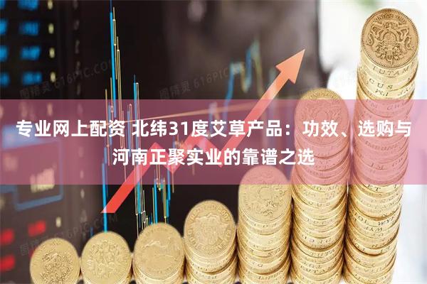 专业网上配资 北纬31度艾草产品：功效、选购与河南正聚实业的靠谱之选